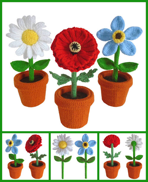 Blooming Lovely Flower Pictures