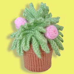 Miniature Knitted Houseplant