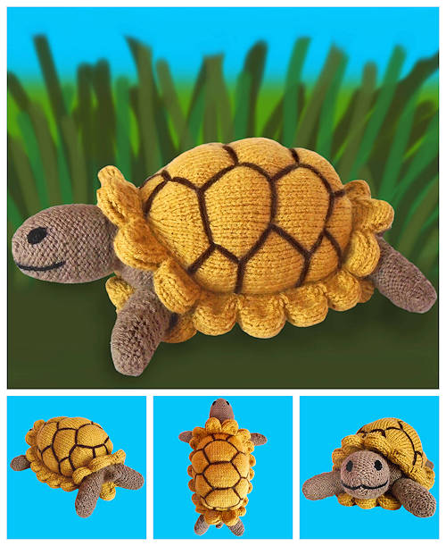 Toby Tortoise Pictures