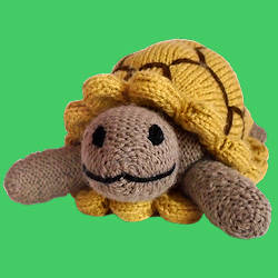 Toby Tortoise
